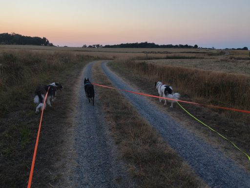 Ulka, Kooper, Velma