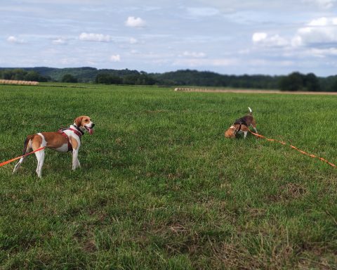 Lola et Ella