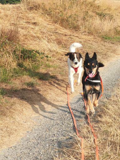 Velma et Kooper