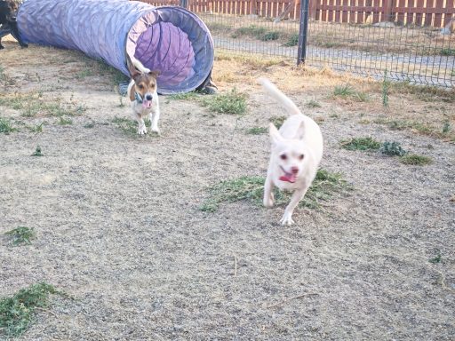 Max et Thalia